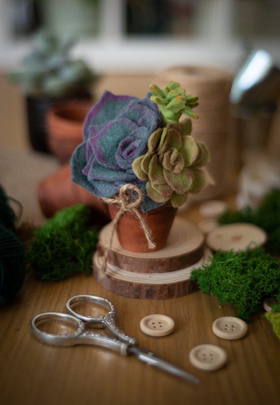 Felt Succulent in a Terracotta Pot