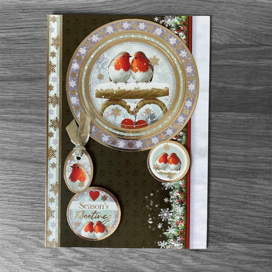 Christmas Card. Luxury Christmas Card Featuring Robins.