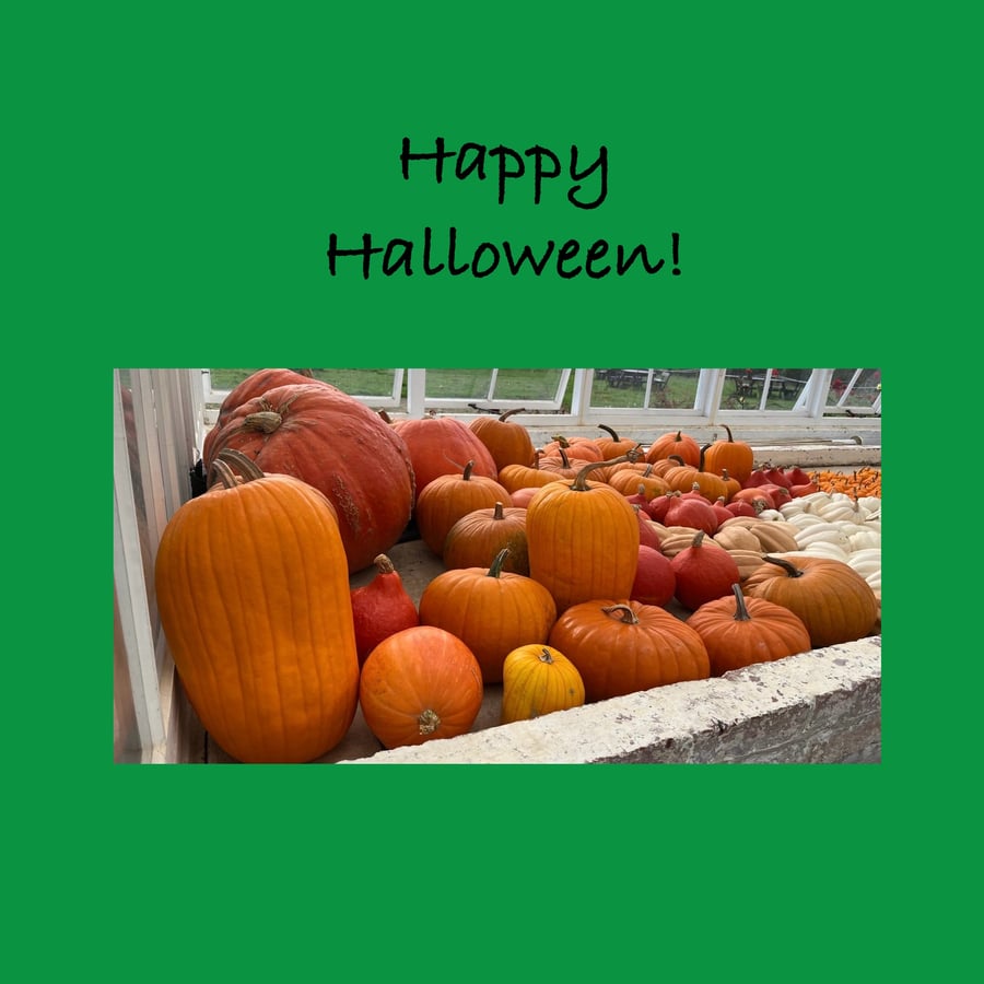 Happy Halloween