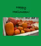 Happy Halloween