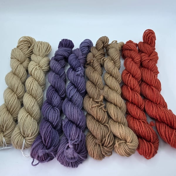BFL mini skeins naturally dyed