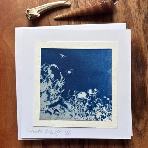 Clematis and Swifts - Cyanotype Card with envelope