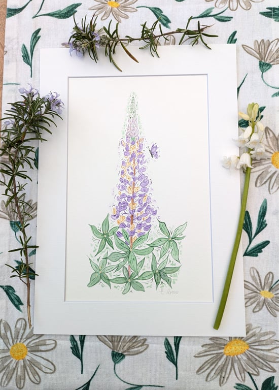  Lupin original watercolour painting A4 mounted