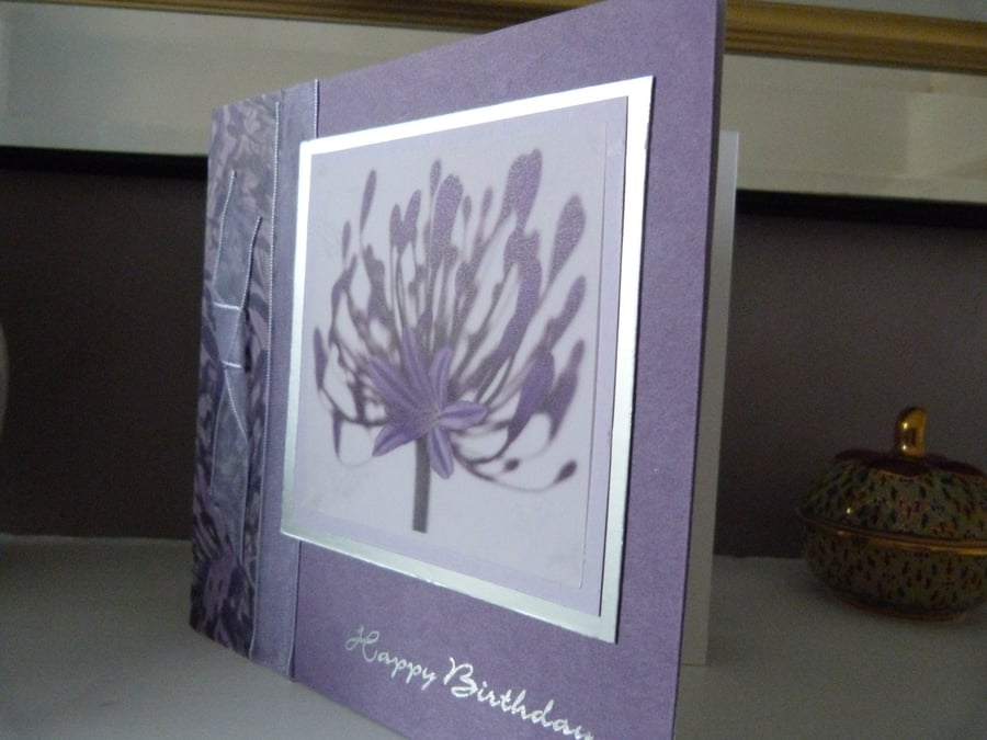 Agapanthus Birthday Card