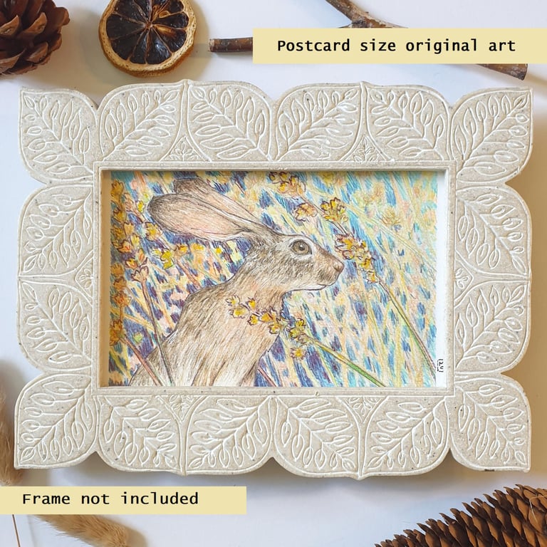Little Hare drawing, small original art, letterbox gift