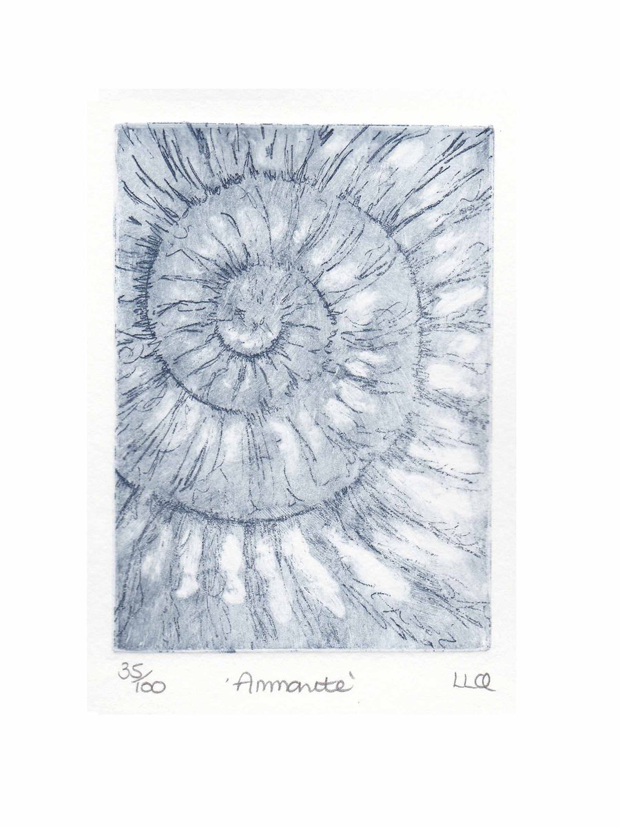 Etching no.35 of an ammonite fossil in an edition of 100