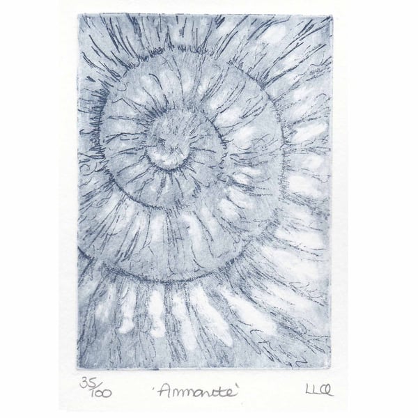 Etching no.35 of an ammonite fossil in an edition of 100