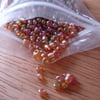 70g Size 8 Gold Purple Lustre Glass Seed Beads