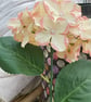 Peachy pink hydrangea flower stem - Image 2