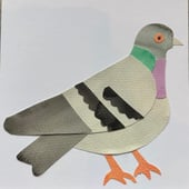 Rae Designs UK
