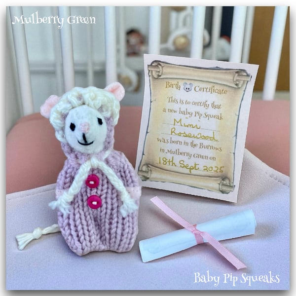 Mimi Rosewood - a Baby Pip Squeak from Mulberry Green 