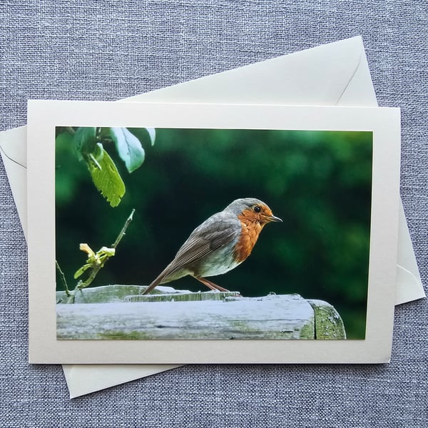 Pembrokeshire Robin Photographic Card size 7" x 5"