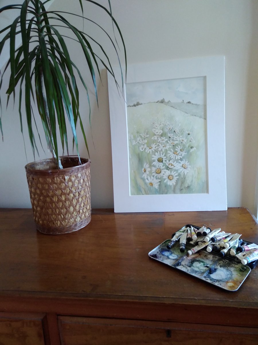 White daisies in Norfolk field original watercolour painting