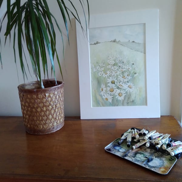 White daisies in Norfolk field original watercolour painting