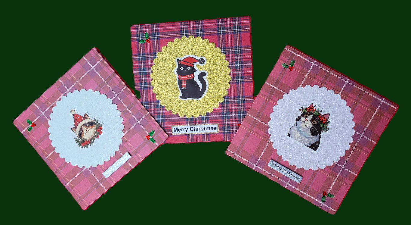 Tartan Cats Christmas Cards (pack of 3)