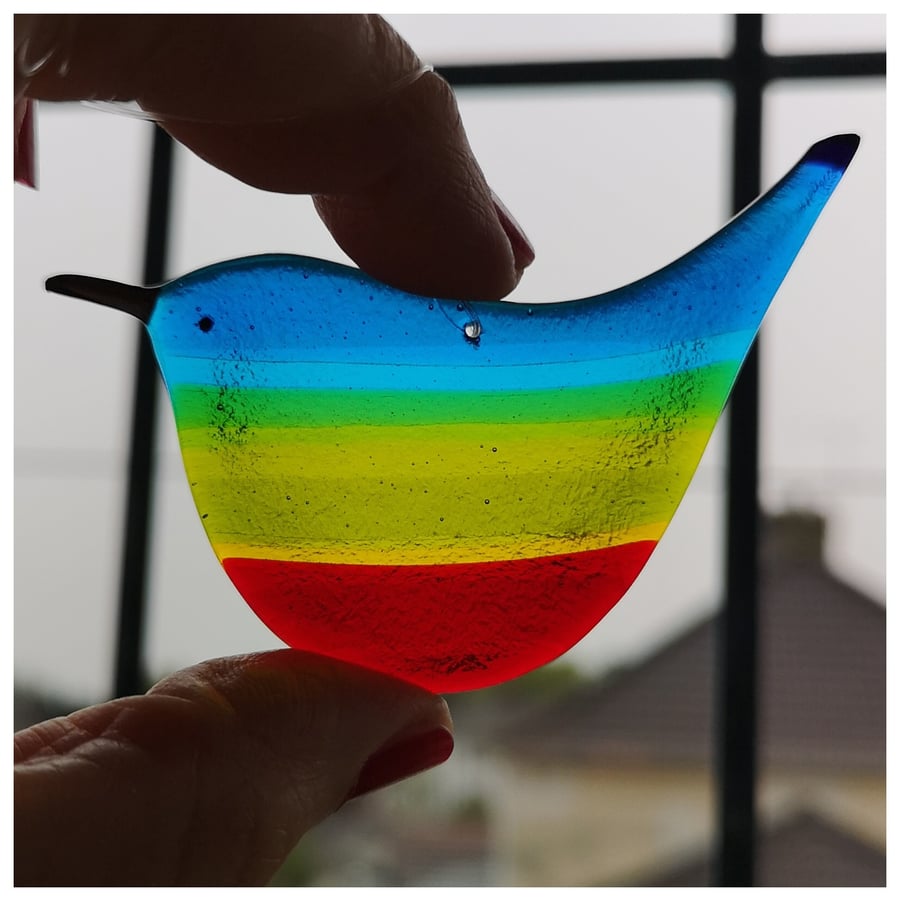 'Rainbow Wren of Hope' bird 