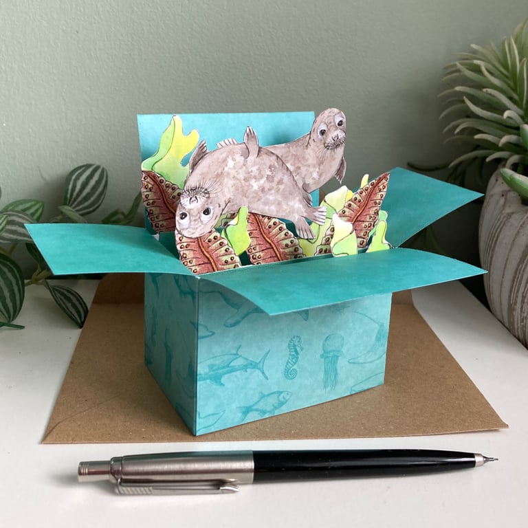 Seals Birthday Card. Personalised blank 3D gift card holder for nature lover