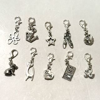 Clip on charms with lobster clasps, various designs shown. 10 charm set