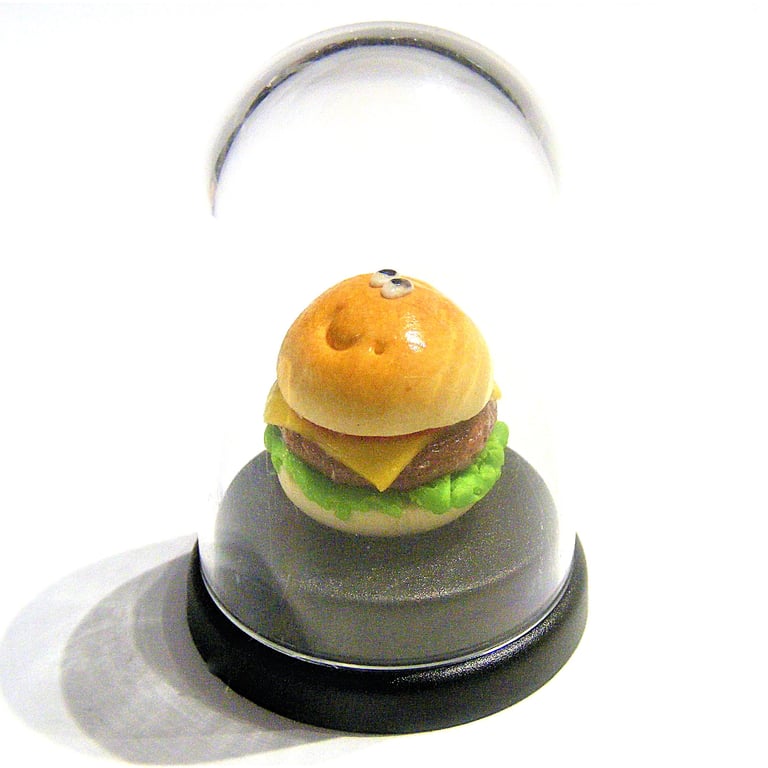 Pet Cheeseburger, Pet burger, Fast food lover, Cheese burger