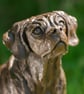 Sitting Puggle Dog Statue Large Bronze Resin Sculpture - Image 3
