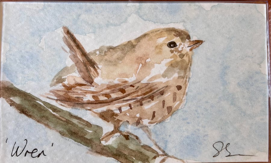 Wren : Fridge Magnet 