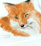 Fox - Original Watercolour Painting - Image 3