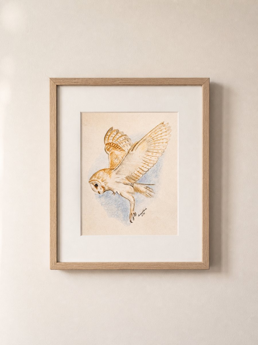 Barn owl print - British wildlife wall art