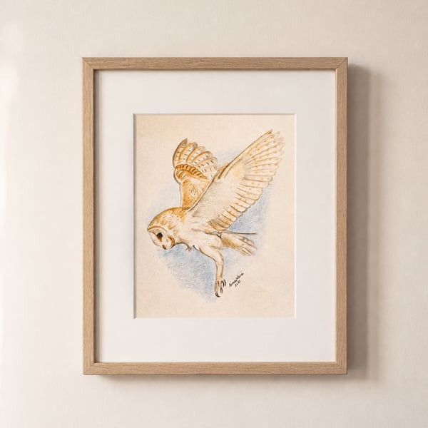 Barn owl print - British wildlife wall art