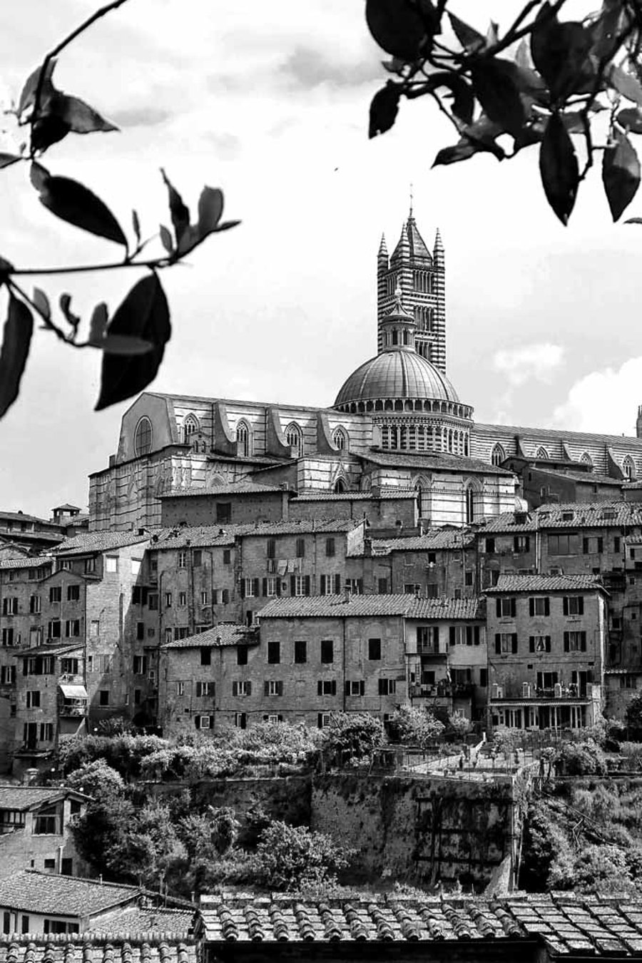 Siena Skyline Cityscape Tuscany Italy Photograph Print