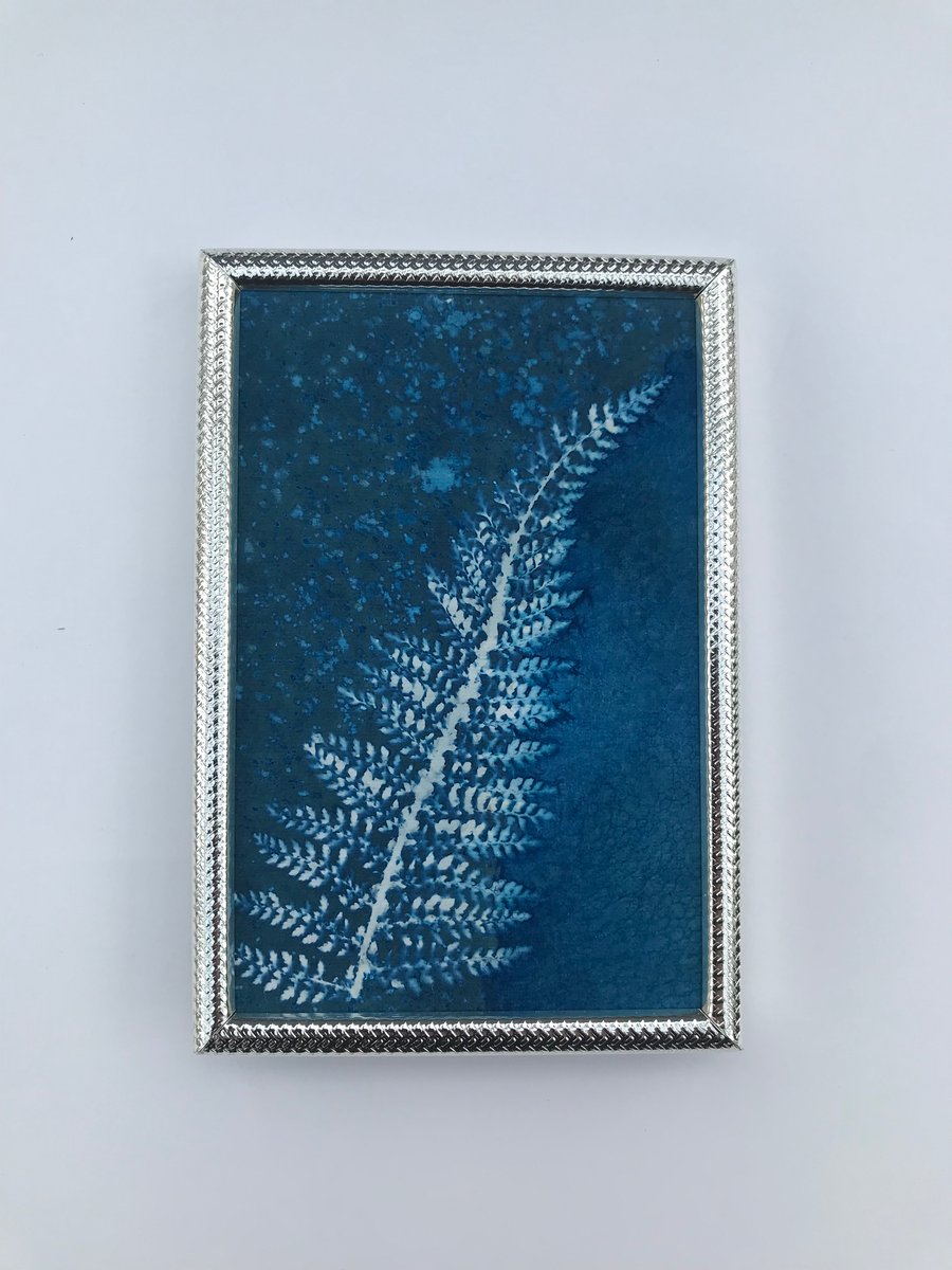 Fern Art, Pretty Art in Silver Plated Frame 