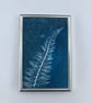 Fern Art, Pretty Art in Silver Plated Frame  - Image 1