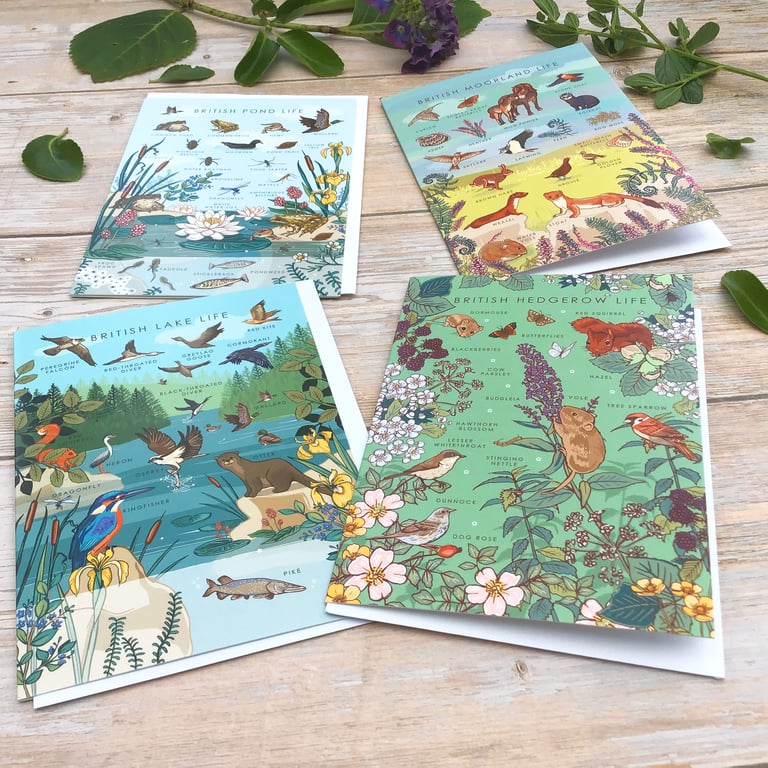 British Nature Guides Set of 4 Note Cards Lake, Pond, Hedgerow and Moorland Life
