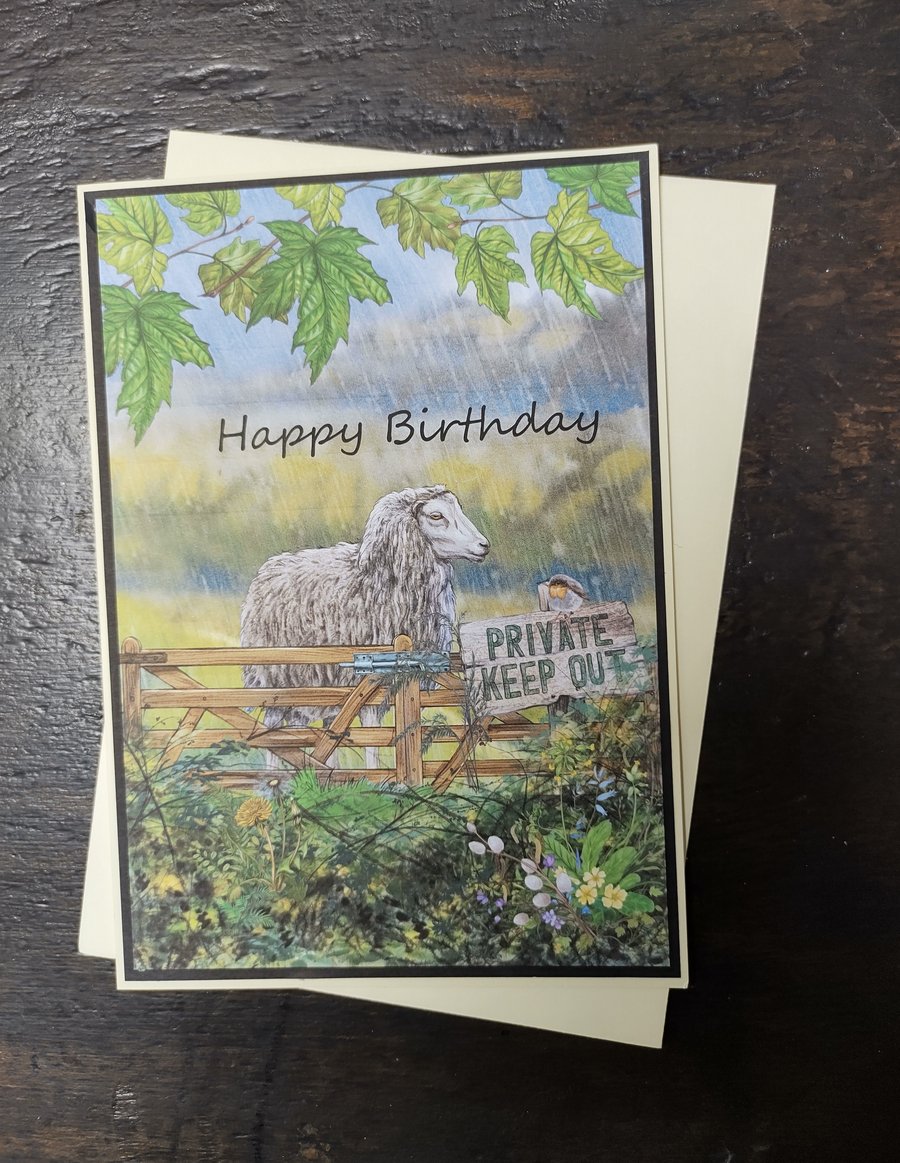 Birthday Card, Sheep Birthday Card, Male Card, Female Card