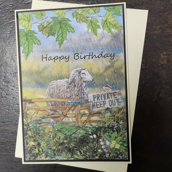 Birthday Card, Sheep Birthday Card, Male Card, Female Card