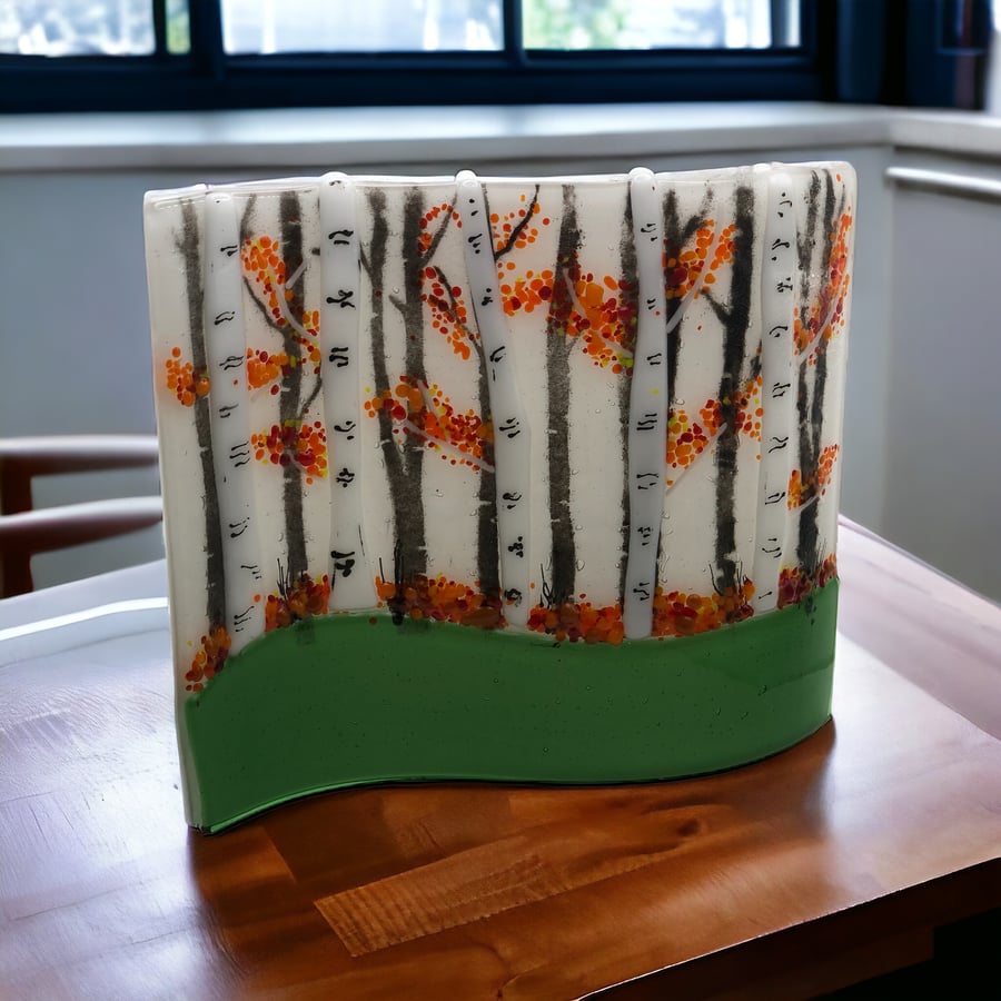 Silver birches in autumn - a fused glass panel