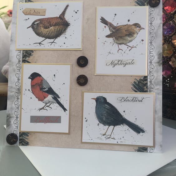 British garden birds greetings card. 