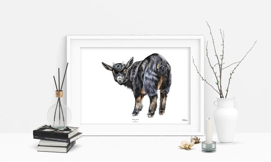 Goat Art Print - 'Baby Goat' - A5 A4 A3 Wildlife Art Print