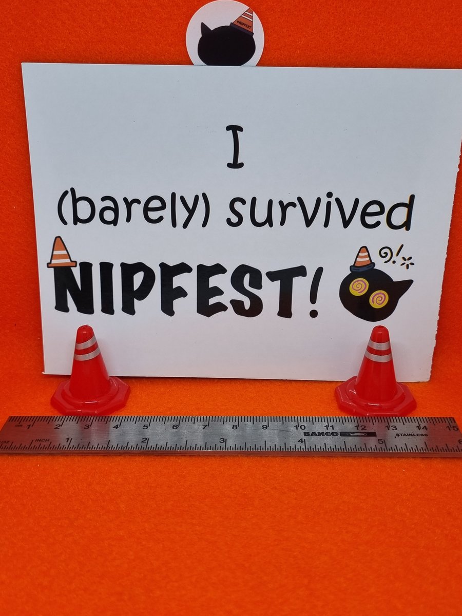 Nipfest I barely survived magnet