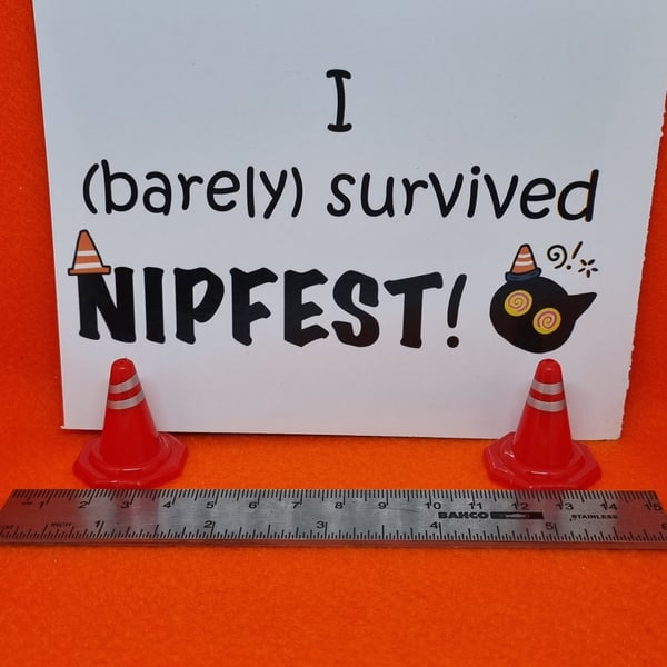 Nipfest I barely survived magnet