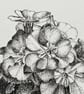 Potted plant original black ink drawing  - Image 3