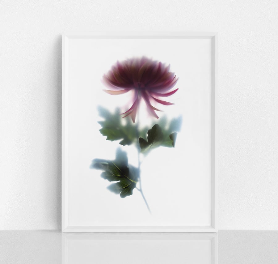 Pink chrysanthemum floral wall art prints in 4 sizes - Minimal botanical print