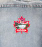 Niagara Falls Canada Embroidered Patch Iron On Sew On Badge - Image 3