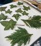 Pressed Autumn Botanical Art in recycled frame - Image 4