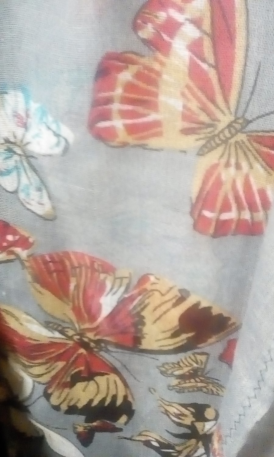 ladies butterfly scarf