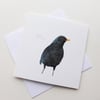 Blackbird square card