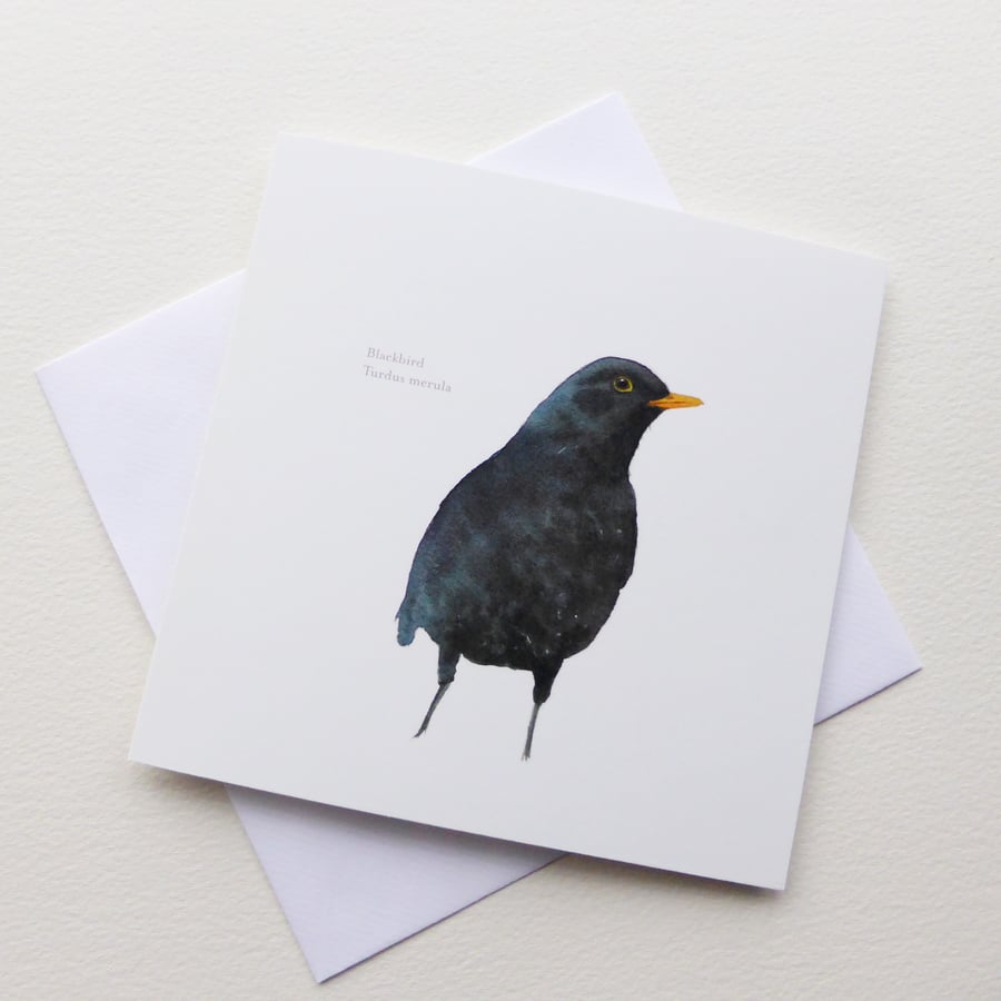 Blackbird square card
