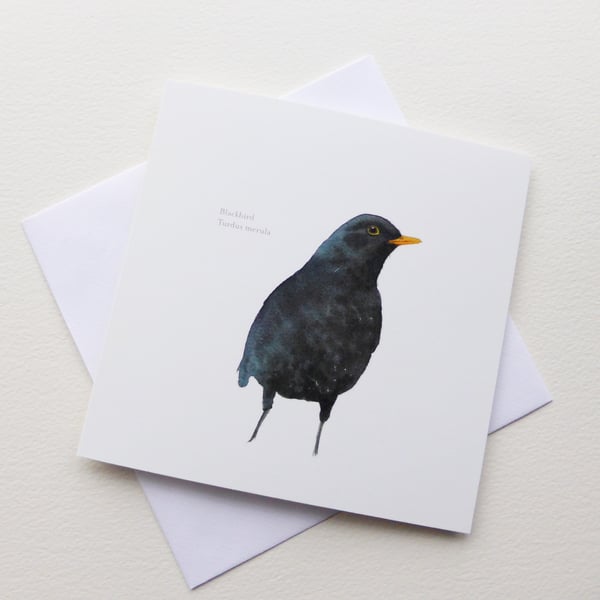 Blackbird square card