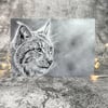 Steely Gaze Blank Greetings Card Printed from Original Art