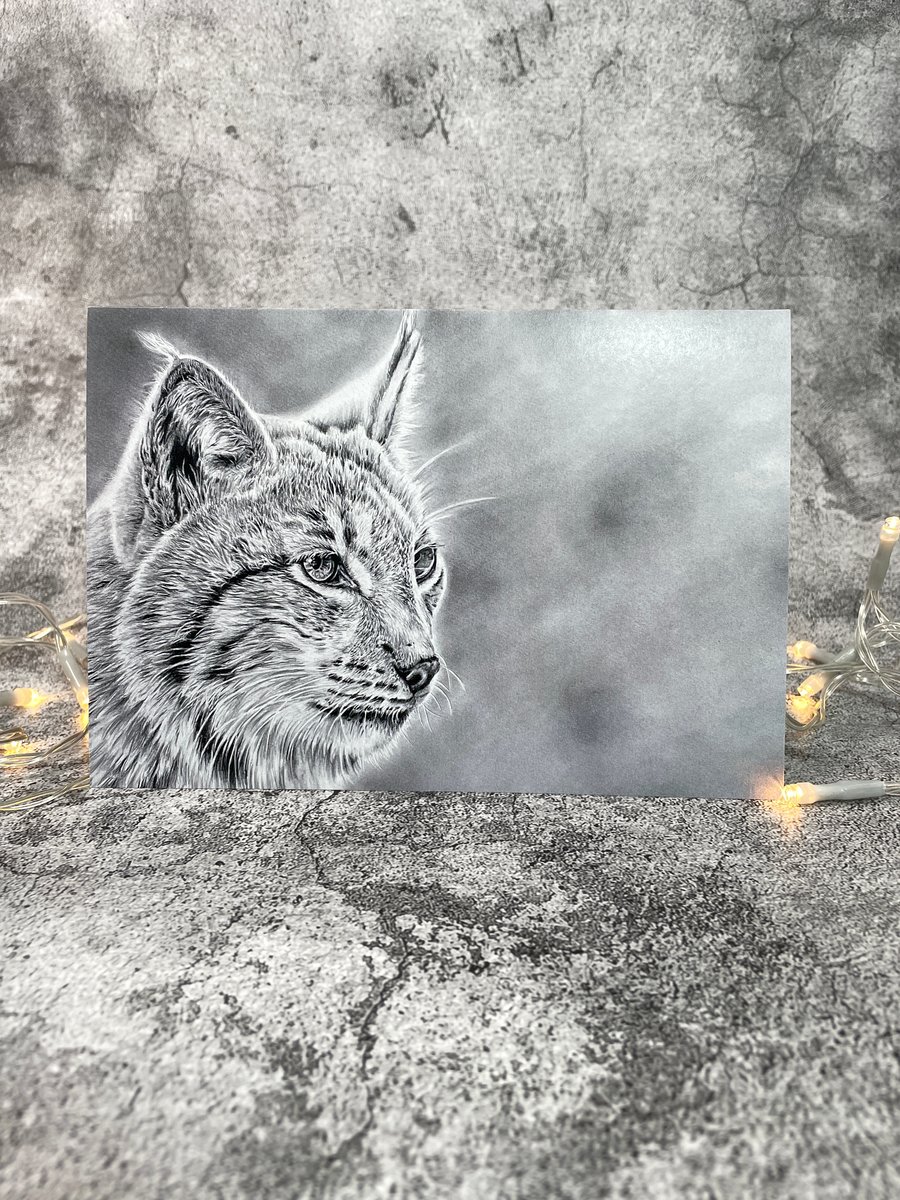 Steely Gaze Blank Greetings Card Printed from Original Art