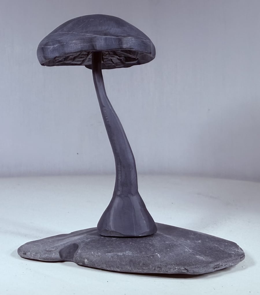 Stone Toadstool, hand cut and carved. Devonian Mudstone on stone base.